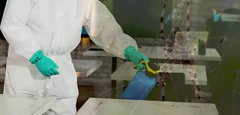 Why Buyers Still Want Homes With Pest Infestations in Overland Park, KS?